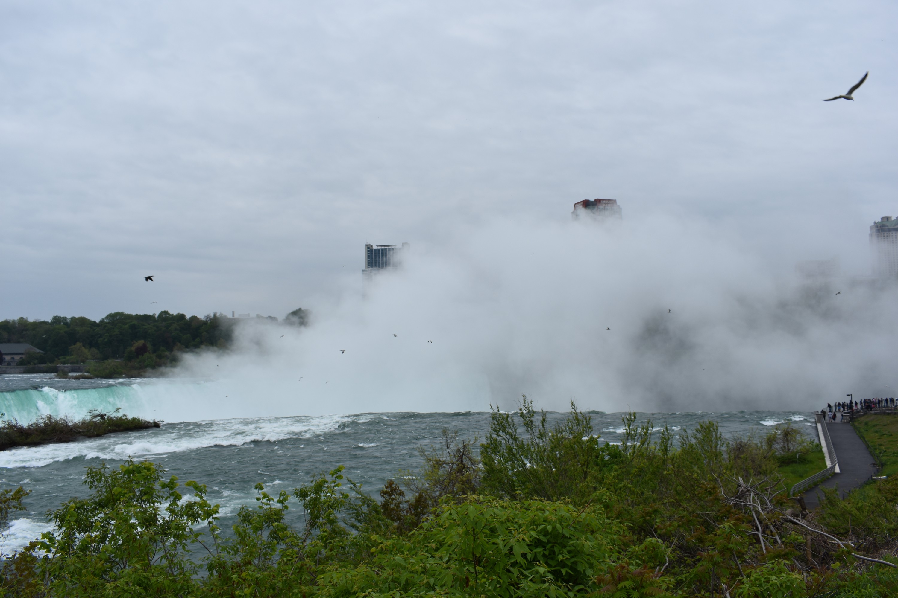 Niagara-Falls-39.jpg