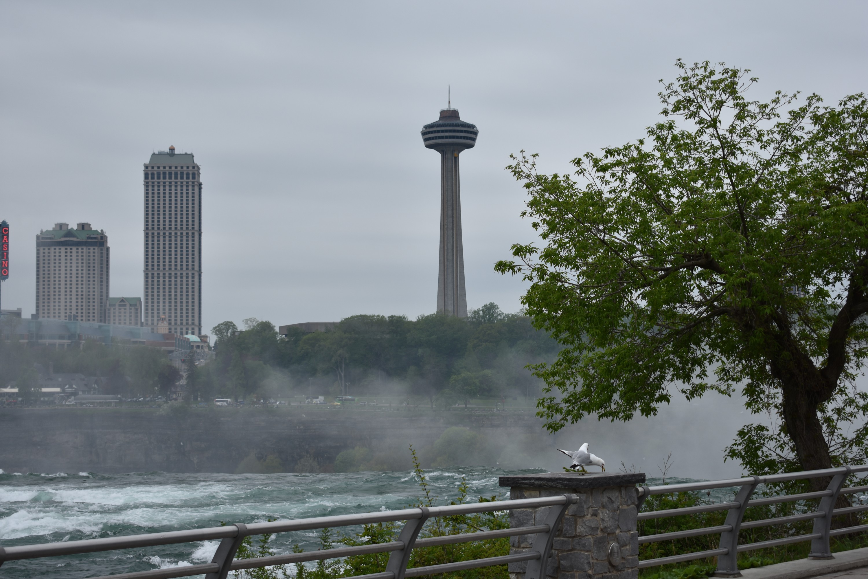 Niagara-Falls-55.jpg